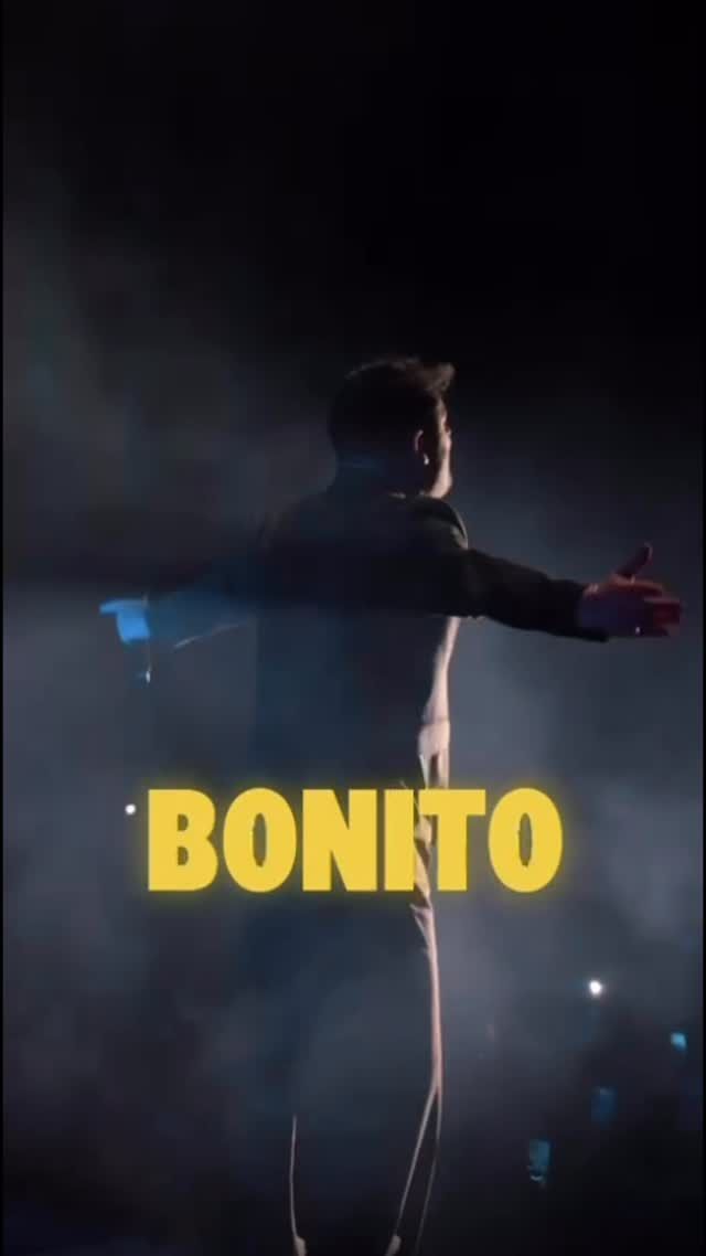 Piel de gallina cada vez que vemos imágenes de Bonito Tour de @demarco_flamenco ❤️✨